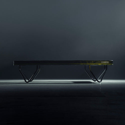 North Athlete With Net